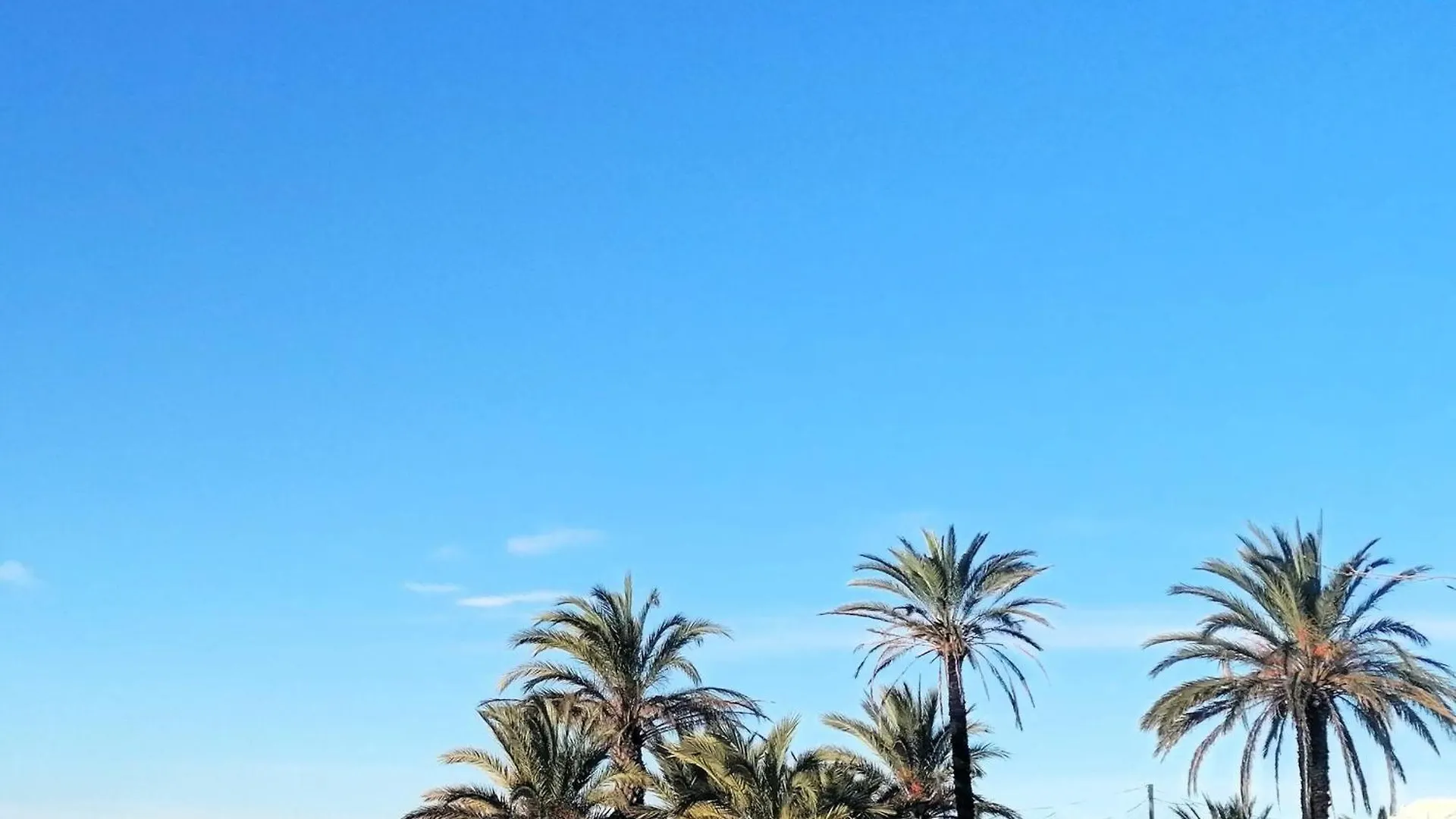 3170 Hort De Mar E 341, Vista Inmejorable, En 1ª Linea De Mar Y Frente A La Playa Mas Espaciosa De Roses. Edificio Tranquilo. A.A. Parking. - Es-258-4 0*, Roses Spain